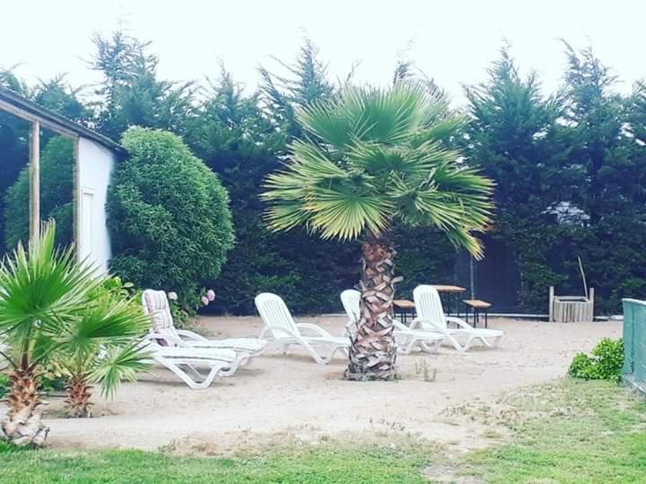 Hotel Del Valle Quilimari Pichidangui Esterno foto